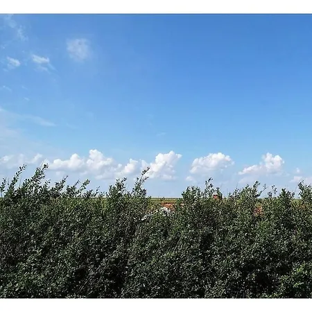 Vakantiehuis Blue House On The Dike